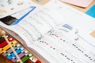 九游网页版官网-中小学体育课安全教育实施现状研究，体育课堂安全背景下的小学体育课现状