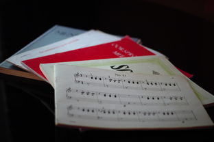 -中小学体育课程内容优化实践，中小学体育课程一体化研究